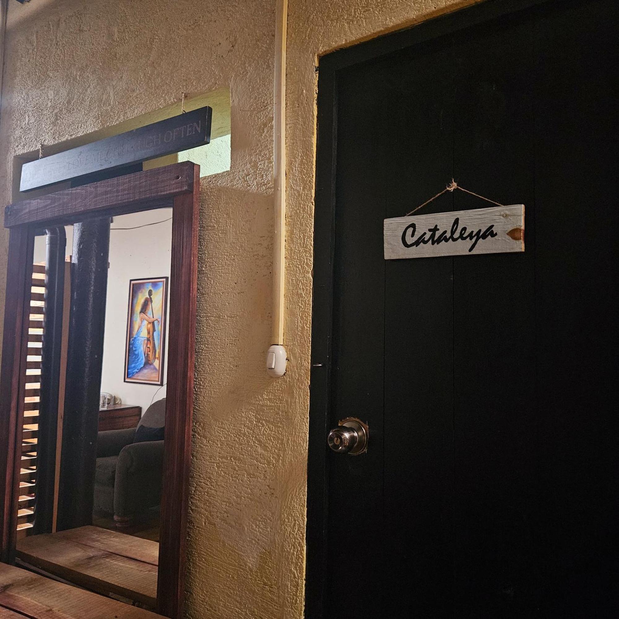 危地马拉安地瓜 Cermeno'S House酒店 外观 照片